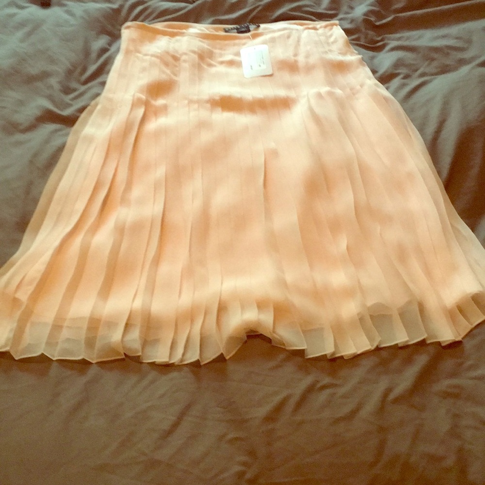 Ralph Lauren pleated light pink chiffon skirt.